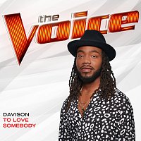 Davison – To Love Somebody [The Voice Performance]