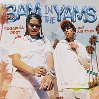 Sugarhill Ddot, Luh Tyler – 3AM in the Yams