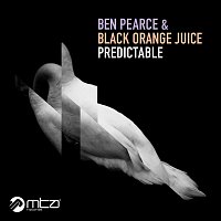 Ben Pearce – Predictable