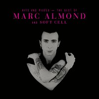 Přední strana obalu CD Hits And Pieces – The Best Of Marc Almond & Soft Cell [Deluxe]