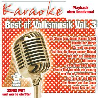 Best of Volksmusik Vol.3 - Karaoke