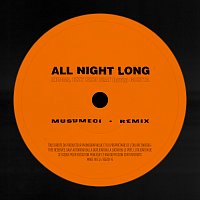 Přední strana obalu CD All Night Long [Musumeci Remix]