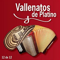 Various  Artists – Vallenatos De Platino Vol. 12
