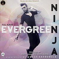 Ninja – Evergreen