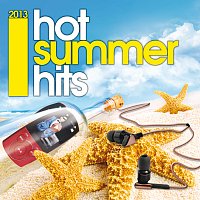 Různí interpreti – Hot Summer Hits 2013