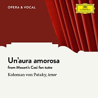 Koloman Von Pataky, Orchestra – Mozart: Un'aura amorosa