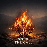 Přední strana obalu CD The Call