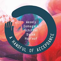 Wesely, Domagała, Schiffer, Dyyak, Hupfauf – A Handful Of Accepdance