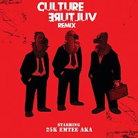 25K, AKA, Emtee – Culture Vulture [Remix]