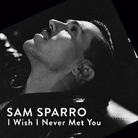Sam Sparro – I Wish I Never Met You
