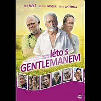 Různí interpreti – Léto s gentlemanem DVD