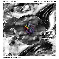 Mikky Ekko – What's It Like Now [Devault Remix]