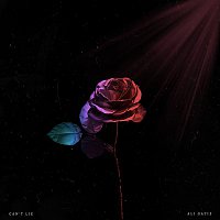 Přední strana obalu CD Can't Lie