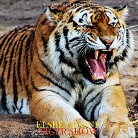 Přední strana obalu CD Tigershow