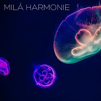 Relaxační Hudba – Milá harmonie