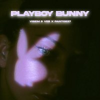VibeM, Ve$, Panto537 – Playboy Bunny
