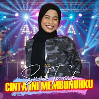 Suci Tacik – Cinta Ini Membunuhku