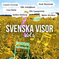 Přední strana obalu CD Svenska visor vol 2