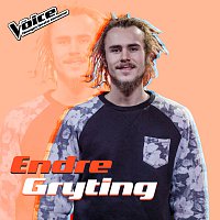 Endre Gryting – Check The Timin' [Fra TV-Programmet "The Voice"]