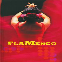 Různí interpreti – Flamenco