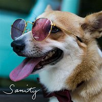 Přední strana obalu CD Sanity
