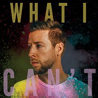 Joel Vaughn – What I Can't