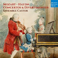 Přední strana obalu CD Mozart & Haydn: Concertos & Divertimentos