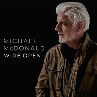 Michael McDonald – Half Truth
