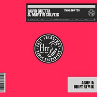 David Guetta & Martin Solveig – Thing For You (Agoria Drift Remix)