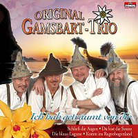 Original Gamsbart Trio – Ich hab getraumt von dir