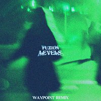 FUZION, Waypoint – LEVELS [Waypoint Remix]