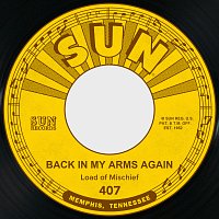 Load of Mischief – Back in My Arms Again / I'm a Lover