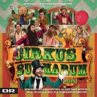 Přední strana obalu CD Cirkus Summarum 2015
