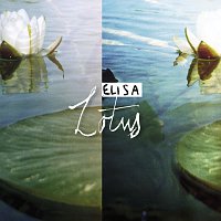 Elisa – Lotus