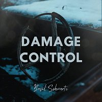 Přední strana obalu CD Damage Control