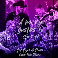 Los Rojos, Duelo, Oscar Iván Trevíno – A Mí Me Gustas Tú [En Vivo]