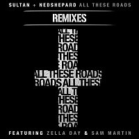 Sultan & Ned Shepard – All These Roads Remixes (feat. Zella Day and Sam Martin)
