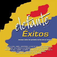 Elefante – Elefante Exitos