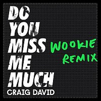 Craig David – Do You Miss Me Much (Wookie Remix)