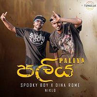 Přední strana obalu CD Paliya