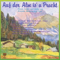 Různí interpreti – Auf der Alm is' a Pracht