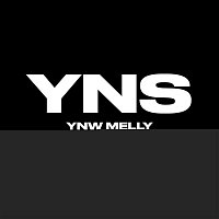 YNW Melly – Yung N**** Sh*t (feat. YNW Gunna & Hotboii)