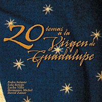 Various  Artists – 20 Temas en homenaje a la virgen de Guadalupe