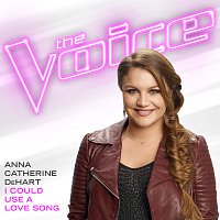 Anna Catherine DeHart – I Could Use A Love Song [The Voice Performance]