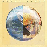 Přední strana obalu CD Styva Linan