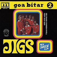 Přední strana obalu CD Goa bitar 2