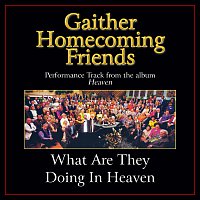 What Are They Doing In Heaven [Performance Tracks]