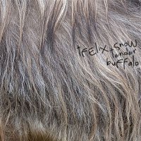 Felix Snow – Tender Buffalo