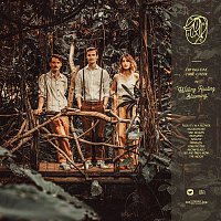 Přední strana obalu CD Branches