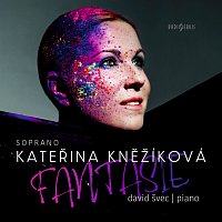 Kateřina Kněžíková, David Švec – Fantasie CD